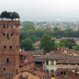 La Strada del Vino e dell’Olio