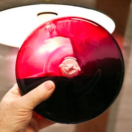 Buongustai dell’aceto balsamico