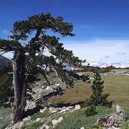 Parco Nazionale del Pollino, tra monti e borghi