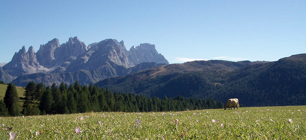 Val di Fassa