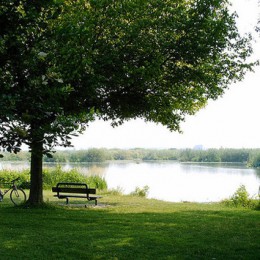 Il Parco del Mincio