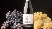 Il Vino DOC San Colombano