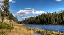 Wilderness: Foreste selvagge in Friuli Venezia Giulia