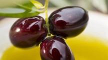Olio extravergine DOP campano