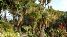 I Giardini incantati di Hanbury