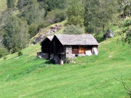 Agosto in montagna